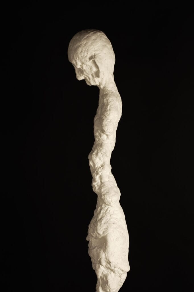 A striking abstract outdoor sculpture by Valeriu Cazacevschi, showcasing modern handcrafted contemporary art with fluid, organic shapes.